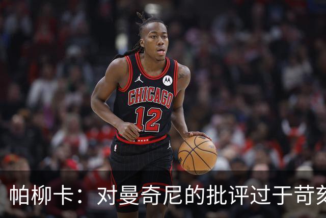 帕柳卡：对曼奇尼的批评过于苛刻，欧国联缺乏重要性