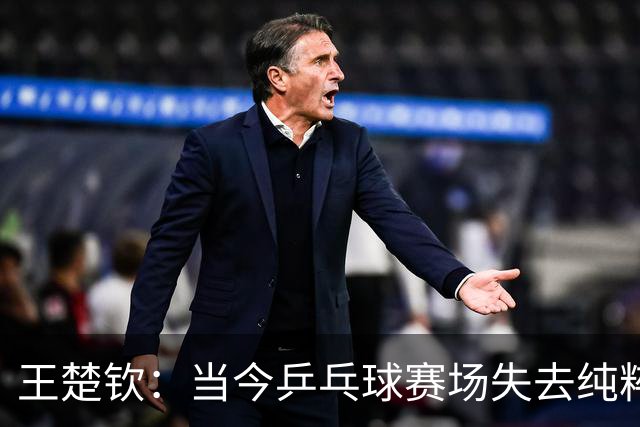 王楚钦：当今乒乓球赛场失去纯粹感，如同缓慢消耗的毒药